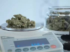 cara memperbaiki timbangan digital yang tidak akurat